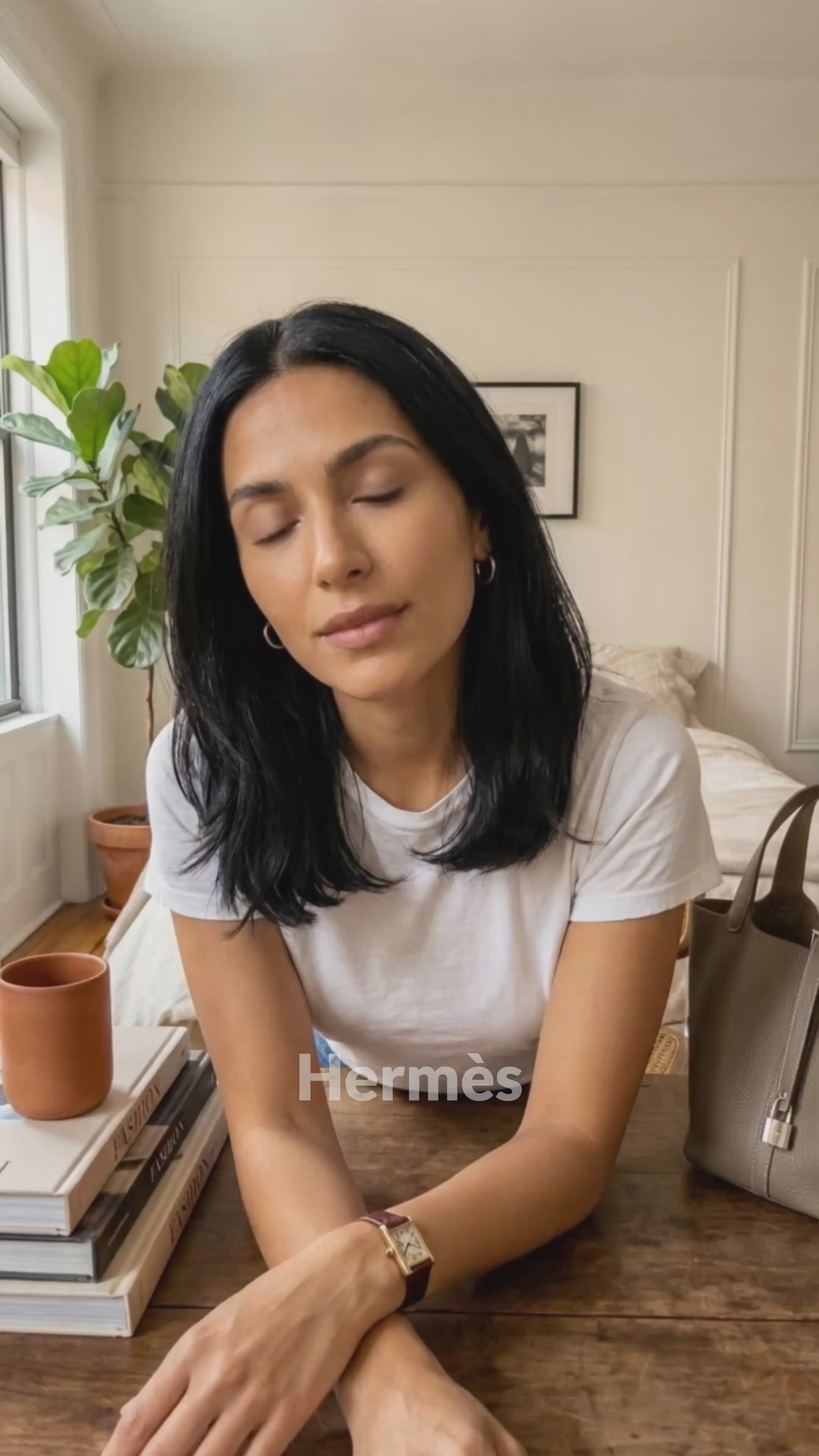 Discover L'Insert - Hermes bag organizer